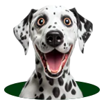 Cachorro olhando brinquedo Pet Play MP 04