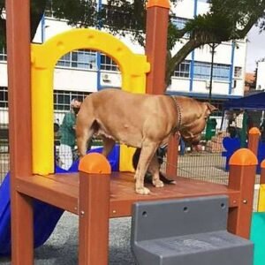 Brinquedos Pet em Madeira Plástica 100% Ecológica